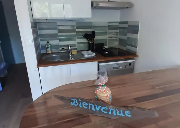 Appartamento Le Petit Bois Flotté 250 M Avec Parking Et Balcon Saint-Georges-de-Didonne